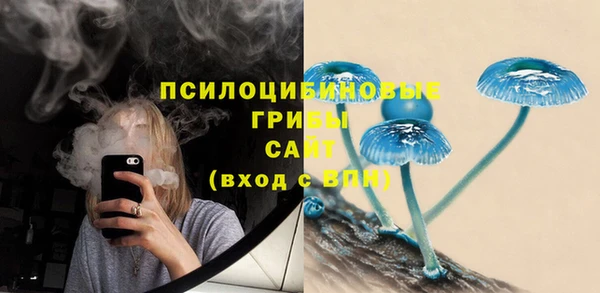прущие крисы Верея