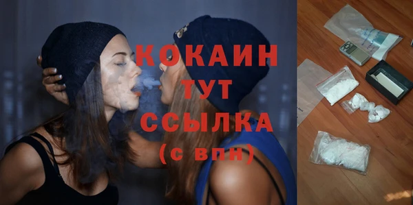 прущие крисы Верея