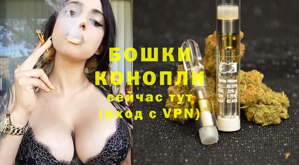 прущие крисы Верея